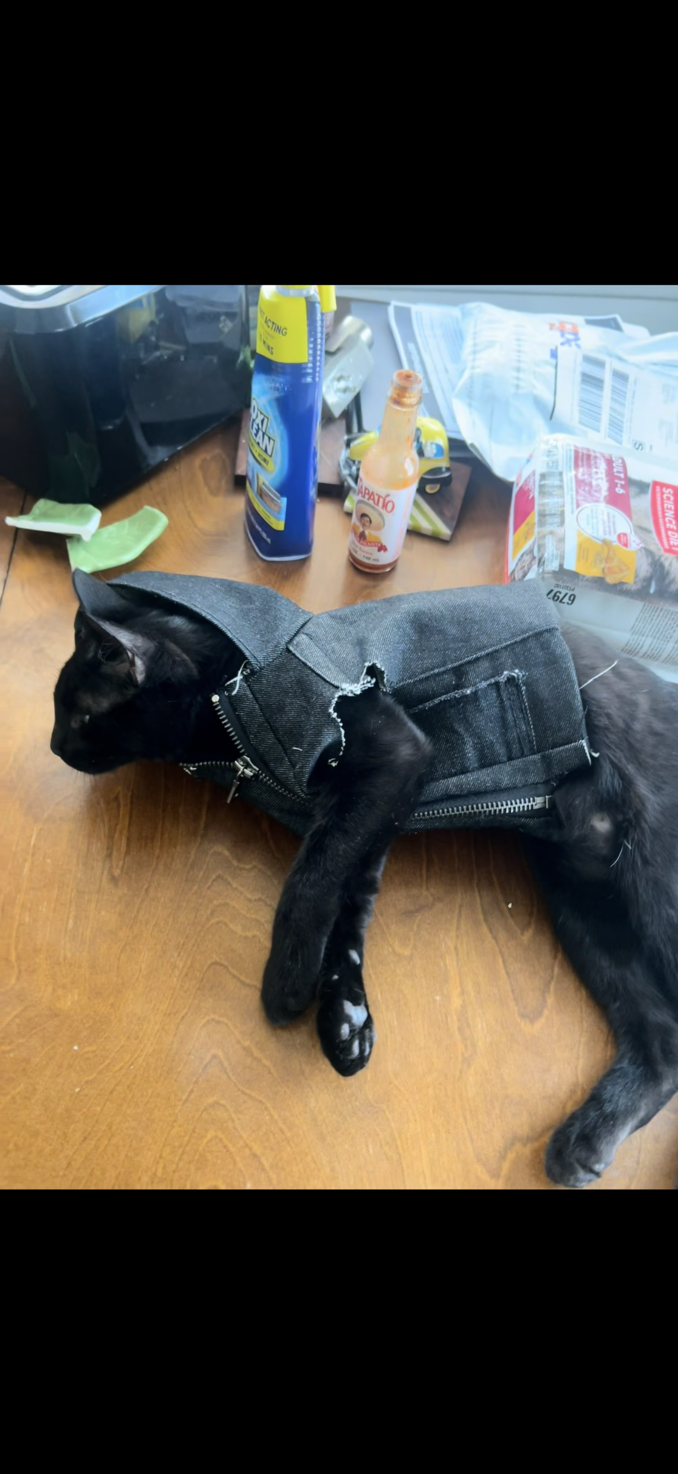 Cat denim jacket